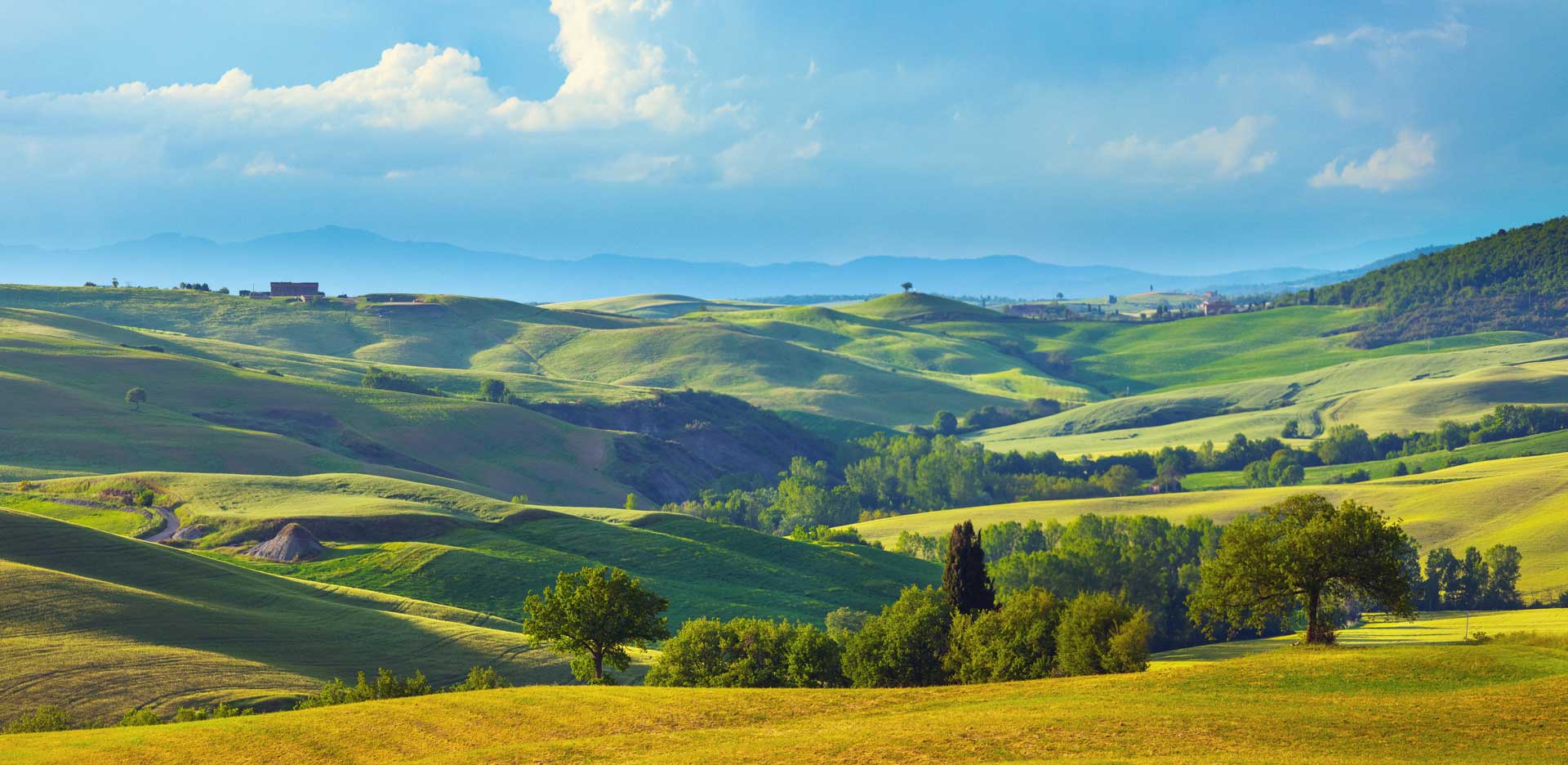Collina